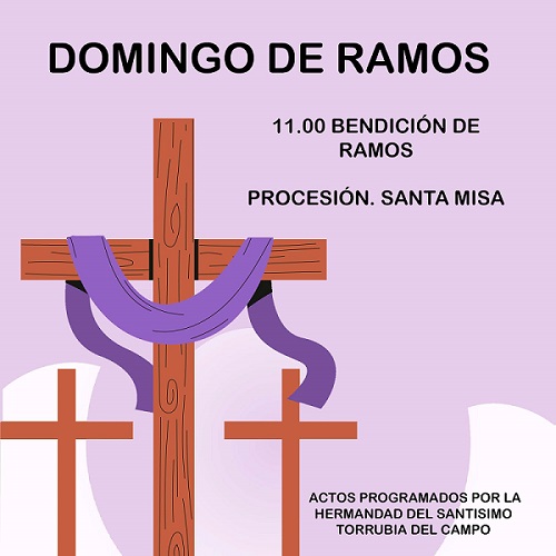 Actos Religiosos Domingo de Ramos 