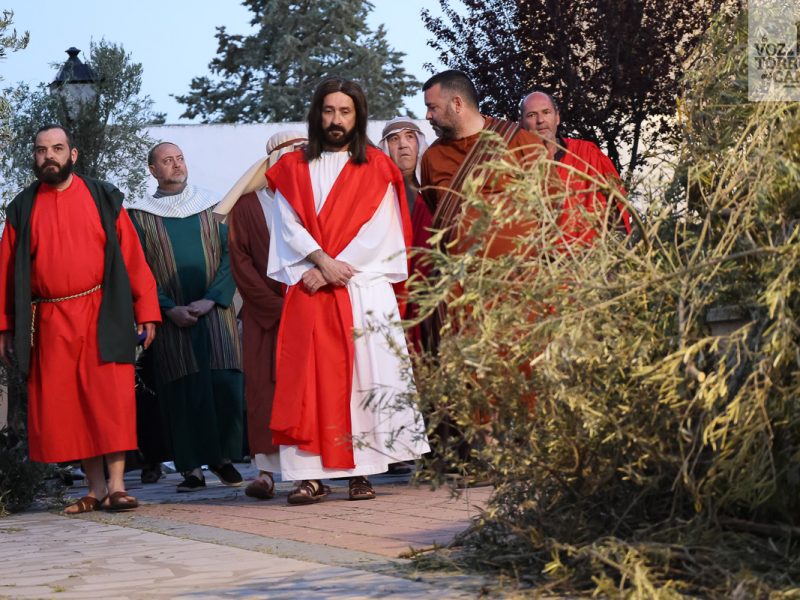 huerto de olivos (1)