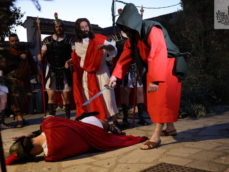 huerto de olivos (10)