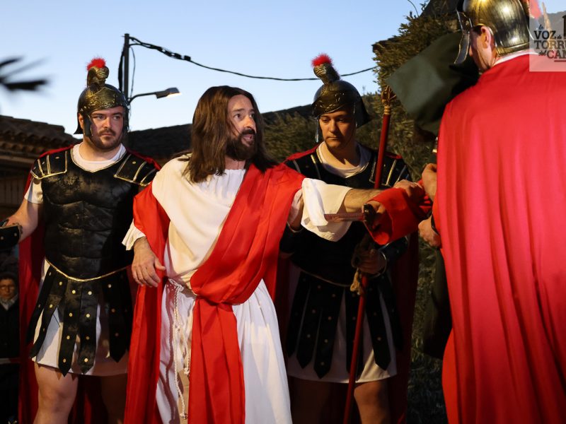 huerto de olivos (11)