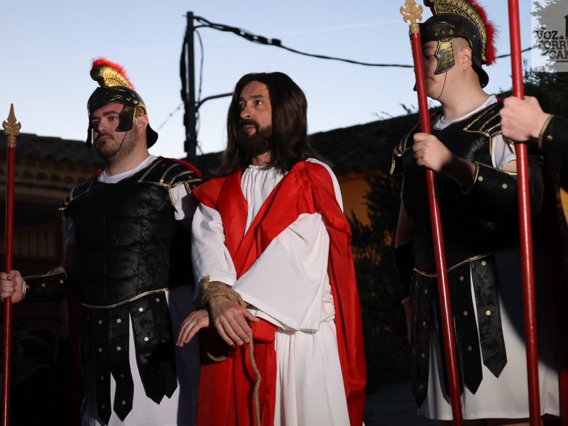 huerto de olivos (13)