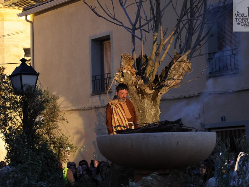 huerto de olivos (15)