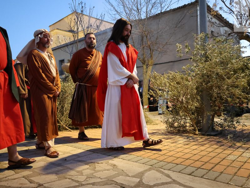 huerto de olivos (2)