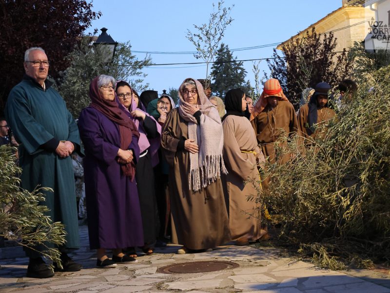 huerto de olivos (3)