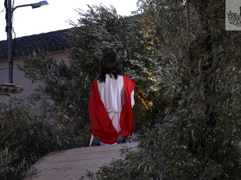 huerto de olivos (5)