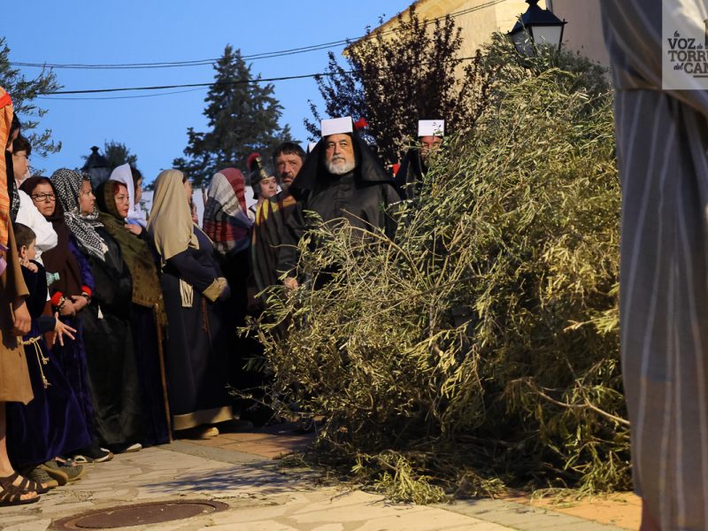 huerto de olivos (6)