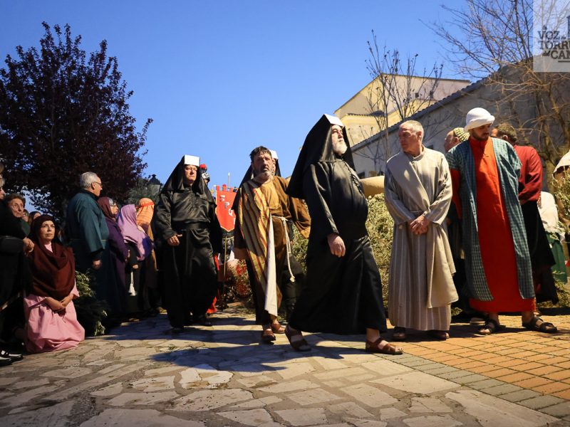 huerto de olivos (7)