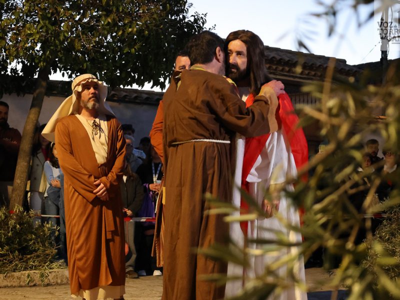 huerto de olivos (9)