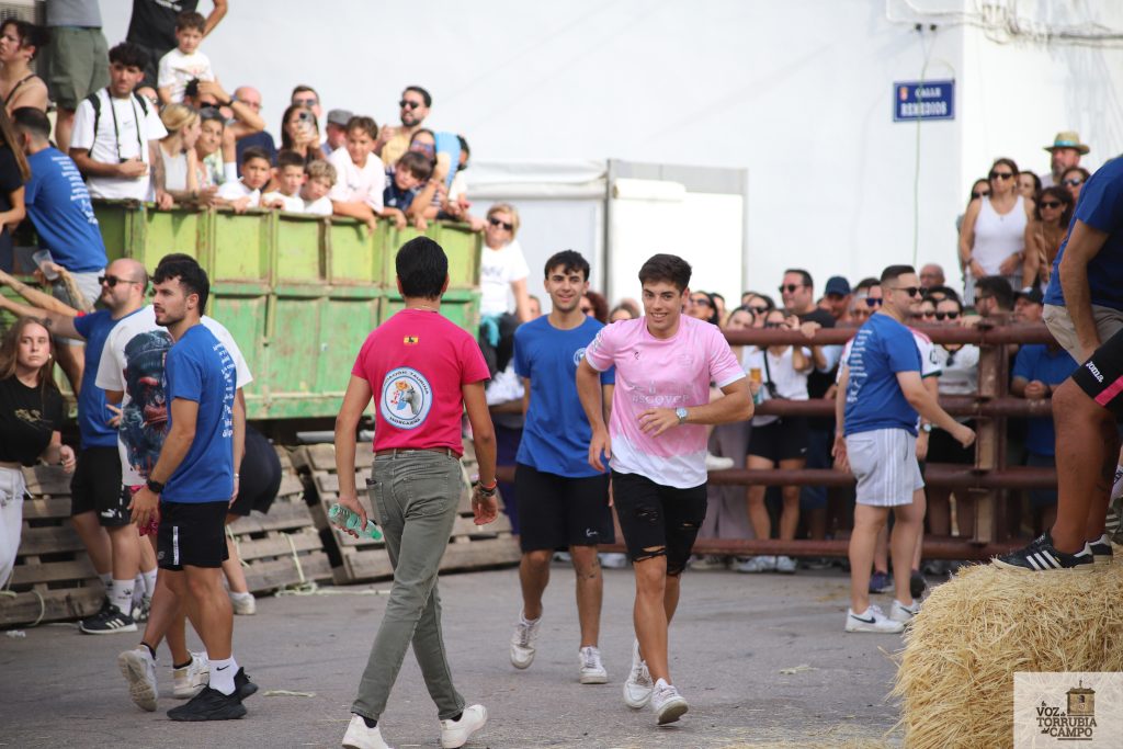 suelta de reses 2026 51